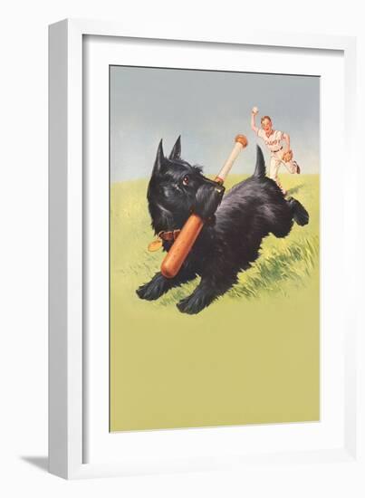 Scottie Dog with Bat-null-Framed Art Print