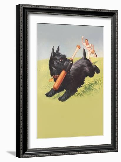 Scottie Dog with Bat-null-Framed Art Print