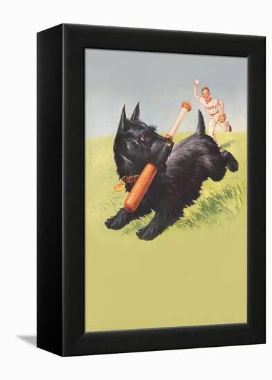 Scottie Dog with Bat-null-Framed Stretched Canvas