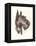 Scottie Dog-null-Framed Stretched Canvas