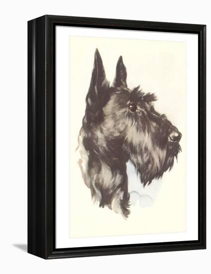 Scottie Dog-null-Framed Stretched Canvas