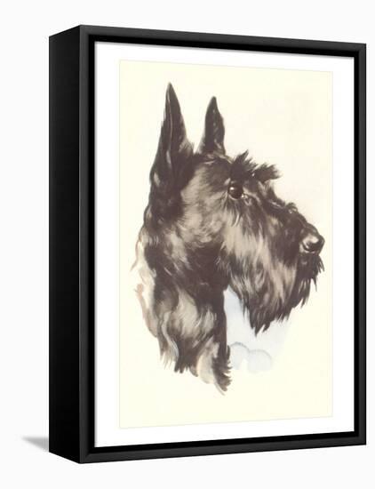 Scottie Dog-null-Framed Stretched Canvas