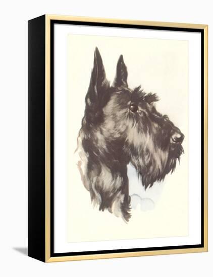 Scottie Dog-null-Framed Stretched Canvas