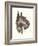 Scottie Dog-null-Framed Art Print