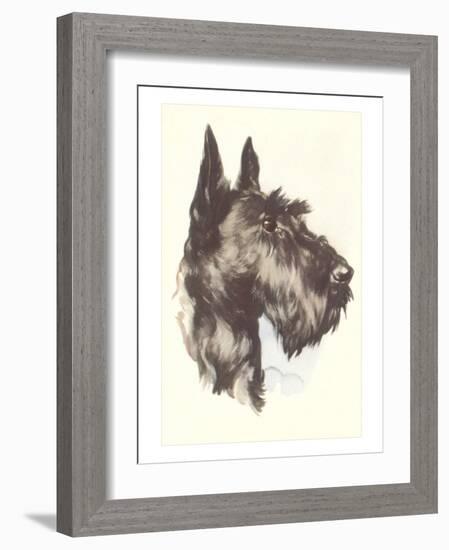 Scottie Dog-null-Framed Art Print