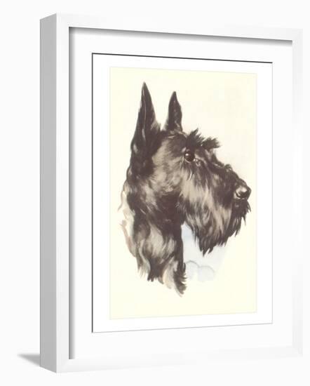 Scottie Dog-null-Framed Art Print