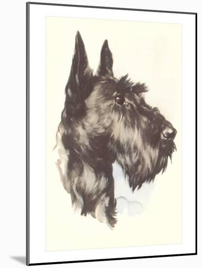 Scottie Dog-null-Mounted Art Print