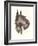 Scottie Dog-null-Framed Art Print