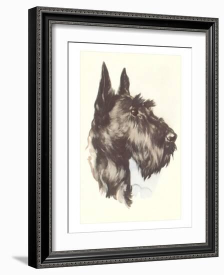 Scottie Dog-null-Framed Art Print