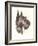 Scottie Dog-null-Framed Art Print