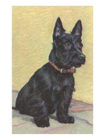 a scottie dog
