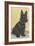 Scottie Dog-null-Framed Art Print