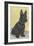 Scottie Dog-null-Framed Art Print