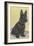 Scottie Dog-null-Framed Art Print