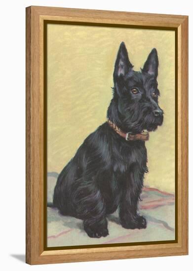 Scottie Dog-null-Framed Stretched Canvas