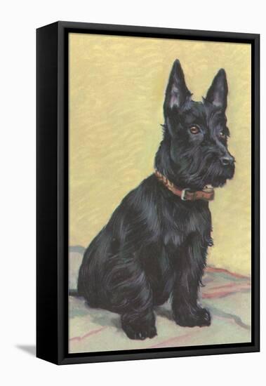 Scottie Dog-null-Framed Stretched Canvas