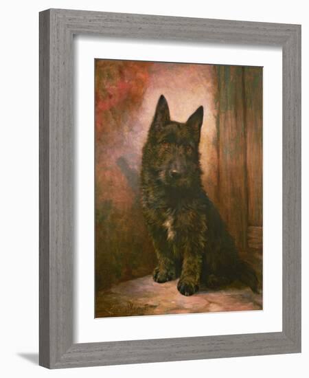 Scottie Puppy-Lilian Cheviot-Framed Giclee Print