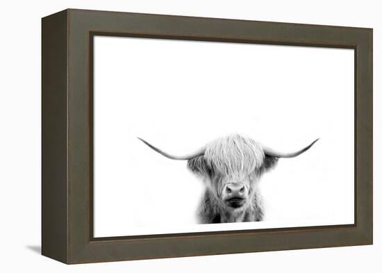 Scottish Cow-Leah Straatsma-Framed Stretched Canvas