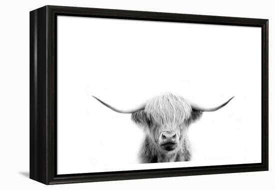 Scottish Cow-Leah Straatsma-Framed Stretched Canvas