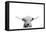 Scottish Cow-Leah Straatsma-Framed Stretched Canvas