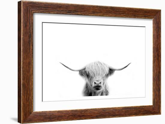 Scottish Cow-Leah Straatsma-Framed Art Print