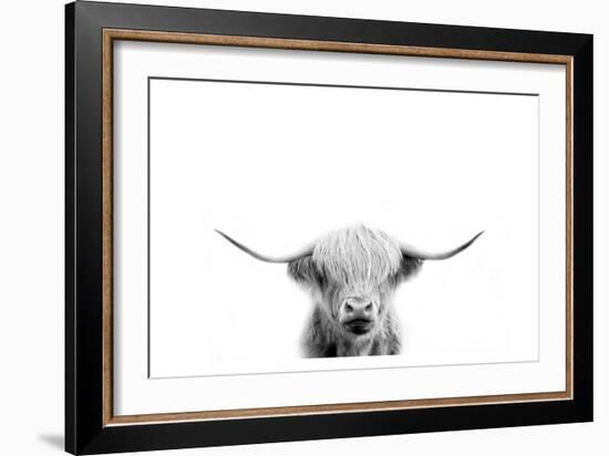 Scottish Cow-Leah Straatsma-Framed Art Print