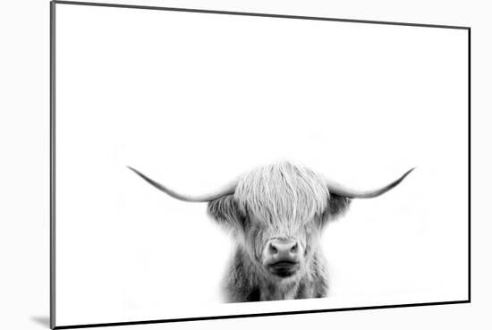 Scottish Cow-Leah Straatsma-Mounted Art Print