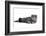 Scottish Fold Cat-Fabio Petroni-Framed Photographic Print