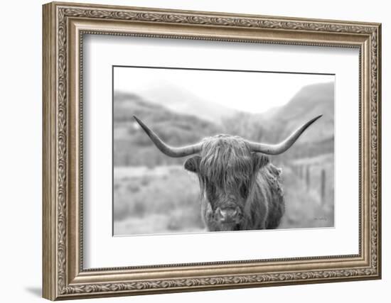 Scottish Highland Cattle III Neutral Crop-Alan Majchrowicz-Framed Photographic Print