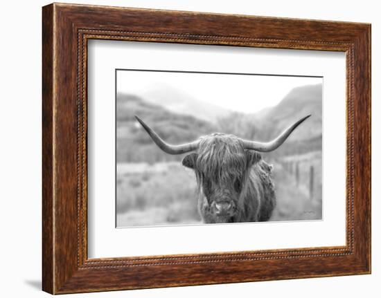 Scottish Highland Cattle III Neutral Crop-Alan Majchrowicz-Framed Photographic Print