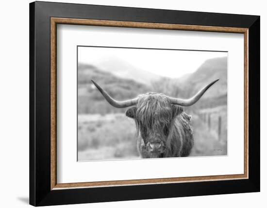 Scottish Highland Cattle III Neutral Crop-Alan Majchrowicz-Framed Photographic Print