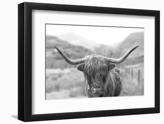 Scottish Highland Cattle III Neutral Crop-Alan Majchrowicz-Framed Photographic Print