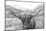 Scottish Highland Cattle III Neutral Crop-Alan Majchrowicz-Mounted Photographic Print
