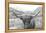 Scottish Highland Cattle III Neutral Crop-Alan Majchrowicz-Framed Premier Image Canvas