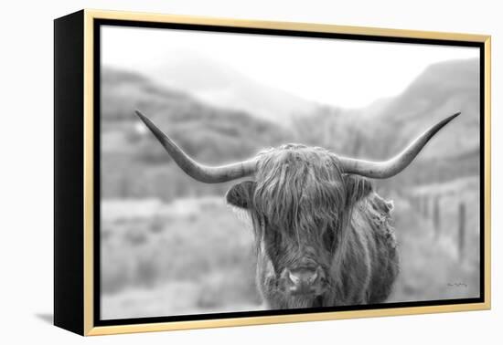 Scottish Highland Cattle III Neutral Crop-Alan Majchrowicz-Framed Premier Image Canvas