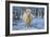 Scottish Highland Cow in Frost-null-Framed Photographic Print