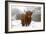 Scottish Highland Cow in the Snowy Foreland of River Ijssel-null-Framed Photographic Print