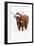 Scottish Highland Cow Standing on Snow-null-Framed Photographic Print