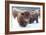 Scottish Highlanders-Orah Moore-Framed Art Print