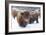 Scottish Highlanders-Orah Moore-Framed Art Print