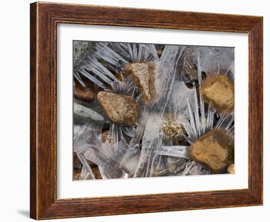 Scottish Highlands, Glencoe, Frozen Rocks in a Riverbed Below the Buachaille Etive Mor, Scotland-Paul Harris-Framed Photographic Print