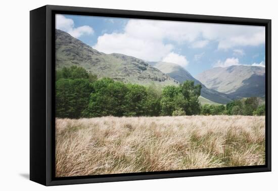 Scottish Highlands III-Laura Marshall-Framed Premier Image Canvas