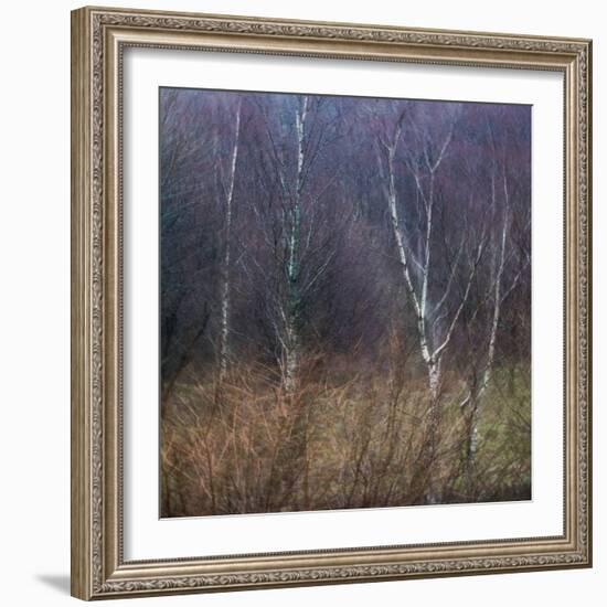 Scottish Impressions-Doug Chinnery-Framed Photographic Print