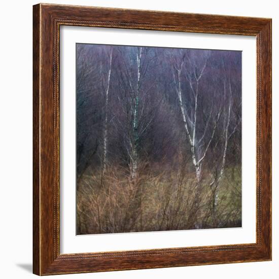 Scottish Impressions-Doug Chinnery-Framed Photographic Print