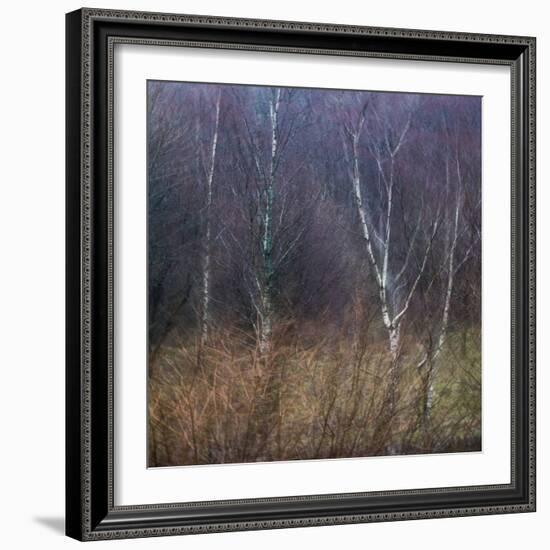 Scottish Impressions-Doug Chinnery-Framed Photographic Print