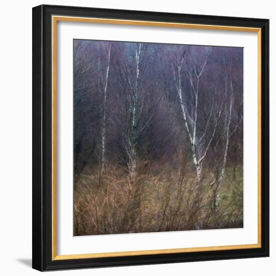 Scottish Impressions-Doug Chinnery-Framed Photographic Print