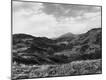 Premium Photographic Print
