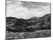Photographic Print