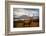 Scottish Stag-Adrian Popan-Framed Photographic Print