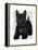 Scottish Terrier and Bow-Fab Funky-Framed Stretched Canvas